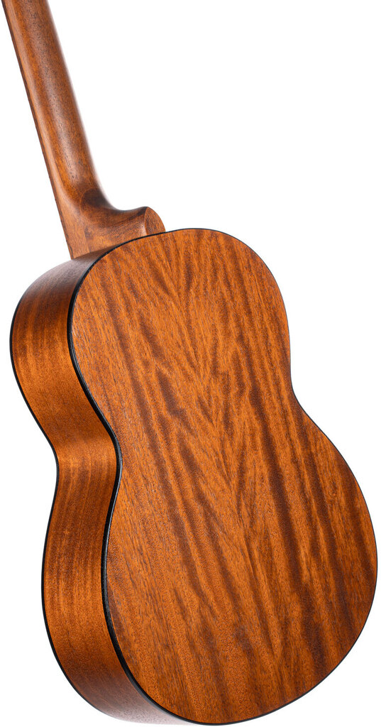 Класична гітара CORT AC100DX OP