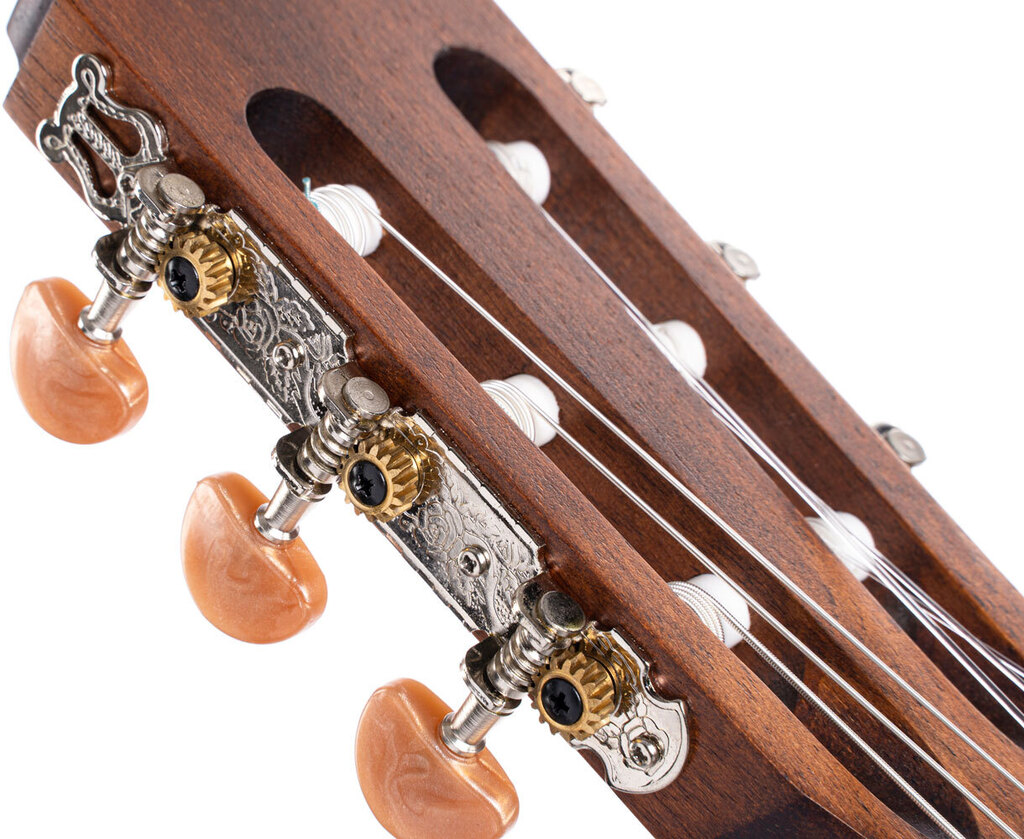 Класична гітара CORT AC100DX OP